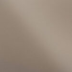 RAL 1019 Fine Texture